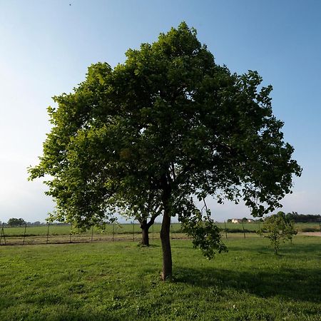 Agriturismo Cascina Graziosa Cameriano Eksteriør bilde